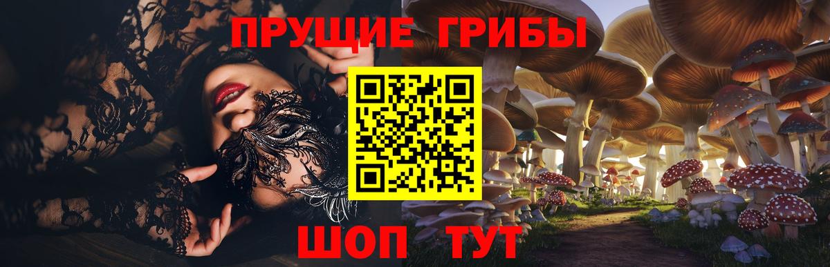 Псилоцибиновые грибы Psilocybine cubensis  Вход с VPN  Уссурийск 